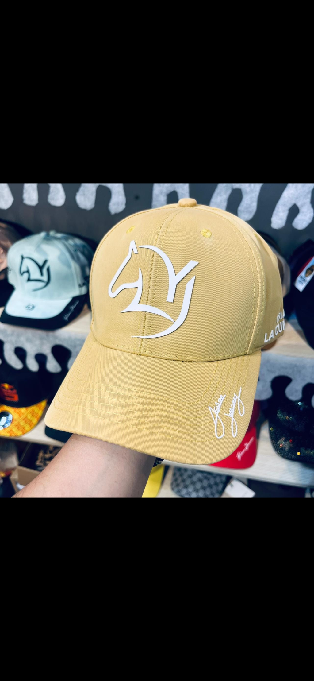 Gorra Agropecuaria Vinilo