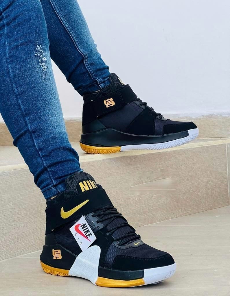 Lebron2 Caballero
