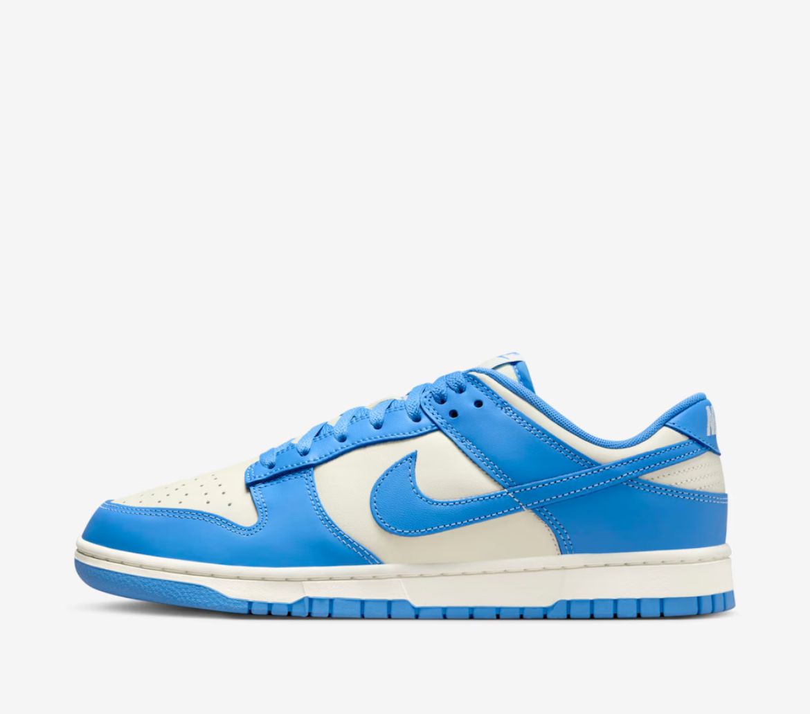 Nike Dunk D106